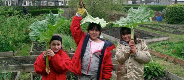 Школа-ферма: як школярі на Львівщині вирощують городину - INFBusiness