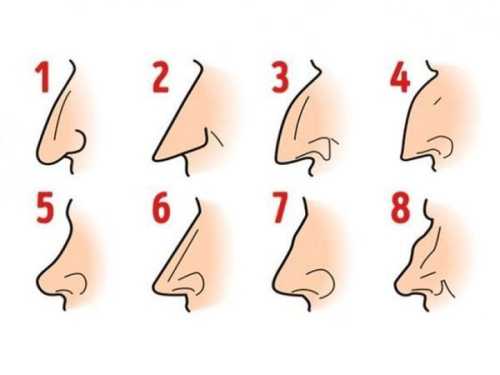 Виберіть форму носа, а ми розповімо про ваш характер - INFBusiness