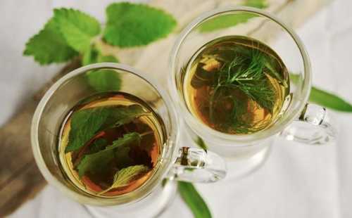 М'ятний чай для поліпшення здоров'я та самопочуття — за і проти - INFBusiness