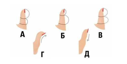 Форма великого пальця розкаже багато цікавого про риси вашого характеру - INFBusiness