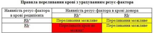 5 фактів про свою групу крові, які життєво необхідно знати - INFBusiness