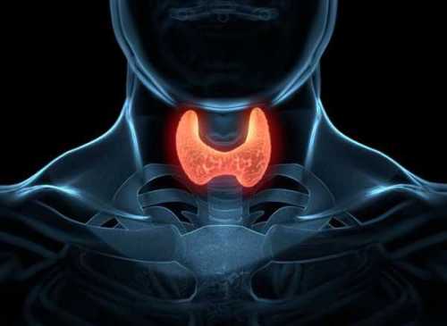 12 ознак, що ваша щитовидна залоза працює не так, як треба - INFBusiness