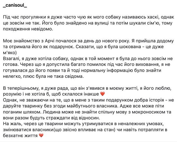 Подарунок для чотирилапого: урок про любов та емпатію - INFBusiness