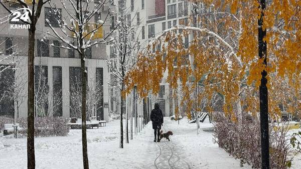 Частину України накриють дощі з мокрим снігом: прогноз погоди на 24 грудня - INFBusiness