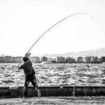 Як риба з міського ставка може призвести до некрозу печінки