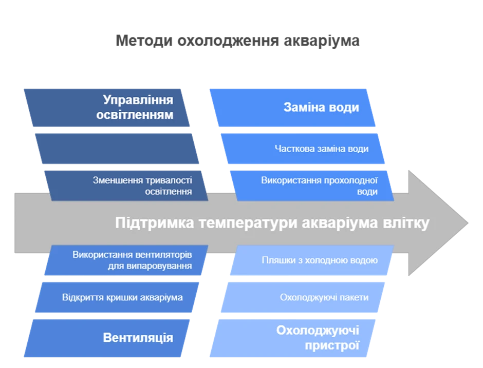 Як знижувати температуру в акваріумі влітку без шкоди для риб - INFBusiness