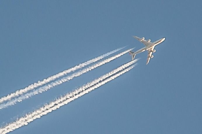 Російську актрису Тарасову затримали в аеропорту після повернення з Ізраїлю Самолет