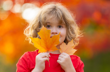 Осінні вироби та аплікації для дошкільнят - INFBusiness