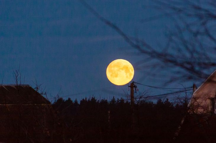 Кардаш'ян засумнівалася у висадці американців на Місяць: що їй відповіли у NASA Луна