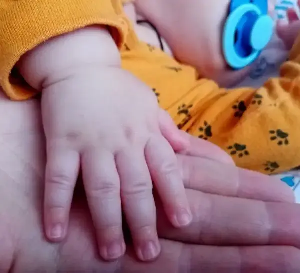 "ОСВІТА новини" – це український новостний сайт, який створений з метою надати важливу і актуальну інформацію про освіту, культуру, студентський життя, дітей і сім'ю. Наша місія - сприяти розвитку суспільства через поширення знань і обмін досвідом. Лариса Гузєєва вперше стала бабусею