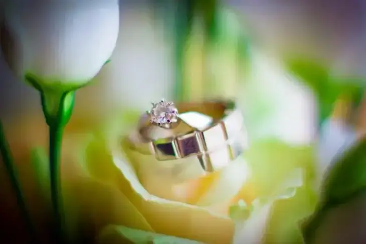 Shaman та Мізуліна одружилися: вибір місця для церемонії здивував багатьох Кольца