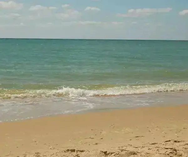 Відпустка на море зірвалася першого ж дня: як сімейна поїздка перетворилася на розбирання