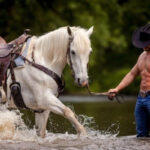 А ви мрієте про принца на білому коні?