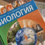 Як запалити інтерес до навчання: прийом, який скасує скандали за уроками