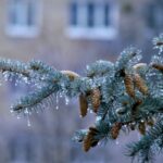 У київських школах зимові вакації триватимуть до початку лютого.