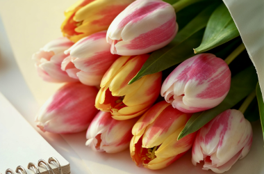 Спілка закликає відзначити 8 Березня без звичних квітів.